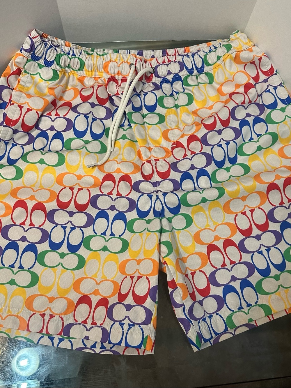 Coach Multicolor Rainbow Logo Swim Shorts